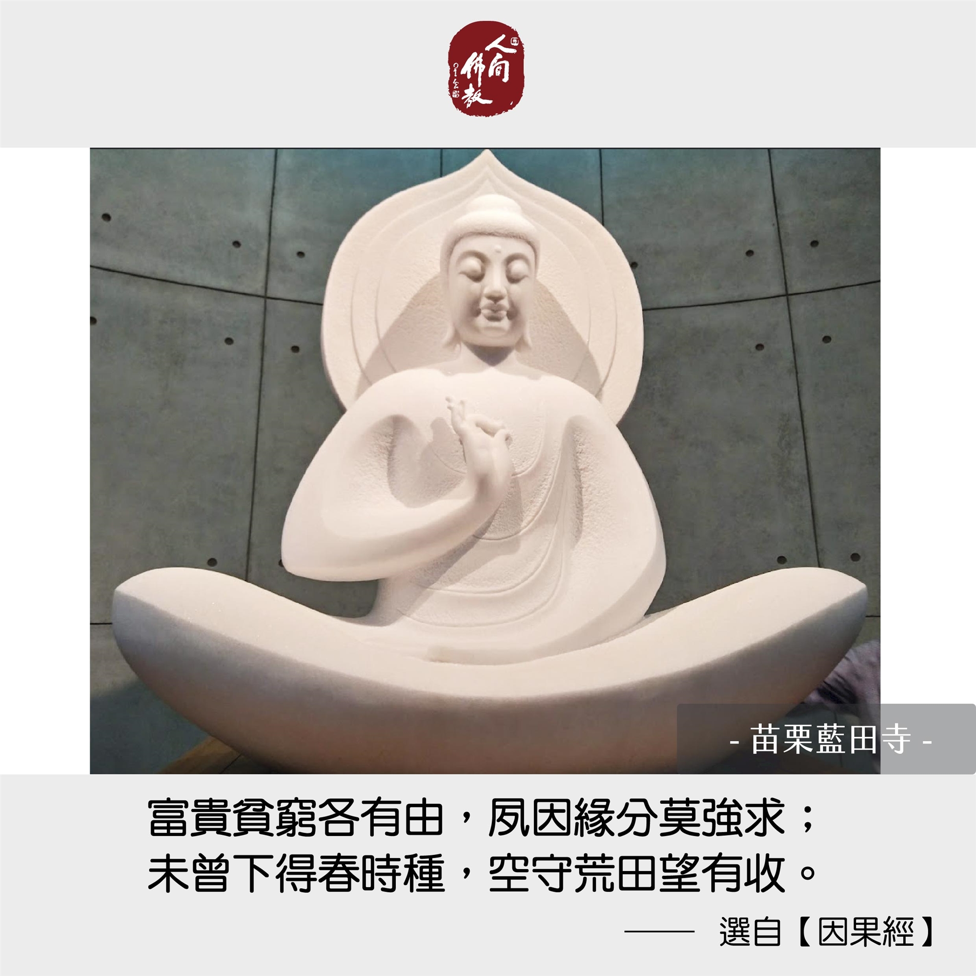 2025.1月每日圖卡